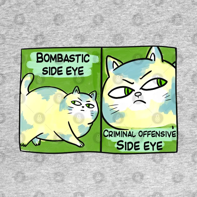 BOMBASTIC SIDE EYE FUNNY TIKTOK CAT MEME by Aydapadi Studio